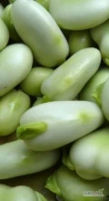 Sprzedam duże 8lośco bobu, 1,5-2,0 tony dziennie.  Pakiwany w woreczki 0,5- 1,0 kg.
