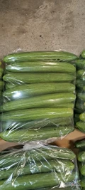 Sprzedam Ogórka szklarniowego 2 klasa. 2zł/kg netto. Duże ilosci. W skrzyniach, worku lub w kartonie. Możliwy transport. Tel 884 883...