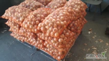sprzedam cebula kal 5+ pakowana w worki 5,10,15kg odmiana polska i holenderska .cana za worek 15kg. mozliwy transport 2-3tony