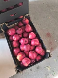 Witam sprzedam jabłko odmiany Prince rozmiar 8+ w czarny karton 13kg netto.
