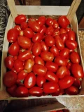 Sprzedam pomidora lima z gruntu cena 4 zł obecnie 500 kg odbiór osobisty okolice Proszowic 
