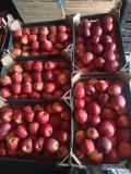 Witam , sprzedam jabłko odmiany Prince, rozmiar 8+ w kartonie 13kg netto. Możliwy dowóz. 

