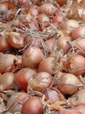 Cebula ŻÓŁTA na worek i do obierania.65%-75%6+ Ilości tirowe, import, dostawa do klienta w całej Polsce. Co tydzień nowe oferty do...