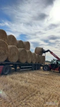 KUPIĘ SŁOMĘ Z POKOSU – szybki odbiór, płatność gotówką
