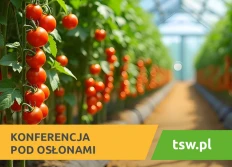 Konferencja „Pod Osłonami" na TSW 2026