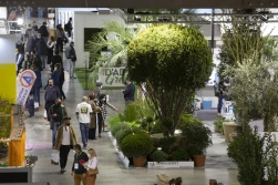 To był wielki powrót Targów Myplant & Garden 2022