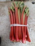 Kupię rabarbar malinowy ładnie wybarwiony na rynek pakowanie wiązka 5kg płatność przy odbiorze tel.782180083 