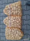 Sprzedam ziemniaki jadalne Queen Anna, Soraya, Denar, Lili, Gala. Ziemniaki z jasnej ziemi, nie posiadają parcha, obić. Kaliber 45+. 