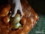 Sprzedam cebulę 7+ worek 15 kg dostępna ilość 24 tony i big bag 15 ton gotowe ładny zdrowy towar cena 1zl 
