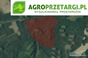 Przetarg na dzierżawę 12,40 ha gruntu rolnego na czas nieokreślony – RIVa, RIVb, RV, RVI, ŁIV, ŁV, ŁVI, PsV, PsVI
