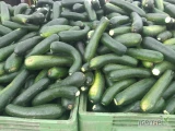 Sprzedam cukinie na kostkę ilości cało samochodowe. 669077586