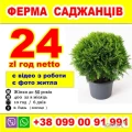  24  злт год    ФЕРМА САДЖАНЦІВ в ПОЛЬЩІ