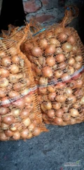 Sprzedam drobną cebulę kaliber do 4.5 około 120 worków 