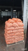Sprzedam  cebulę kal 5-9, twarda,big bag skrzynia,lub worek ok 14 ton możliwość transportu 