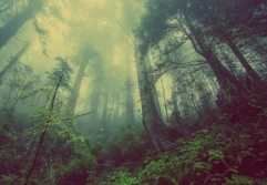 30% terenów UE ma być w stanie naturalnym