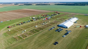 Potato Poland 2020: Polska znów będzie ziemniaczaną potęgą...