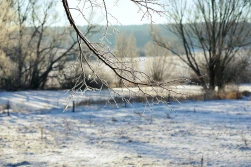 Za nami najzimniejsza noc od 2010 roku