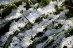 Idzie mróz. Czy możemy spać spokojnie?