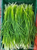 Witam. Sprzedam szczypior z cebuli pędzonej. Towar na kilogramy luzem duża ilość.  Produkt Polski. Certyfikat GGN.