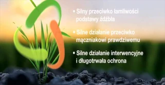 Bayer: Input Triple - innowacyjny fungicyd dla zbóż