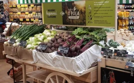 Prosto z pola do 50 km...