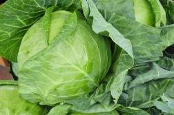 PKO BP: maleje konkurencyjność polskiego sektora owoców i warzyw. Dlaczego?