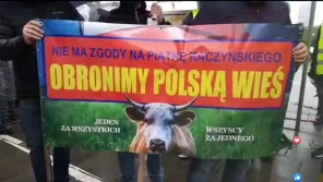 Protest w strugach deszczu