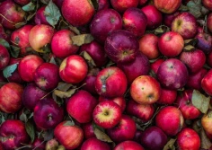 Czy to jest zmowa cenowa?