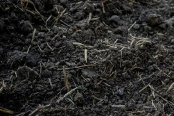 Kwasy huminowe i fulwowe