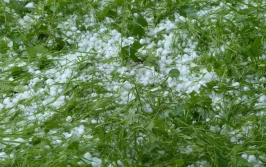 Nie ma pieniędzy na dopłaty do ubezpieczeń