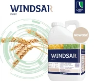 WINDSAR 250 EC - wysoka jakość i pewny plon dzięki nowemu regulatorowi wzrostu  w ofercie CIECH Sarzyna