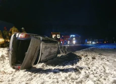 Cielaki w samochodzie osobowym!