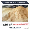 Trocina Sosnowa
