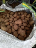 Sprzedam ziemniaki jadalne sagitta i omega luz big bag lub worek 15kg. Kaliber 4+. Ilości paletowe tir budowę. Zapraszam do współpracy....