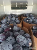 Sprzedam 200 to kapusty czerwonej kal od 1.5do 4kg opakowanie karton box cena 550zł tona netto
