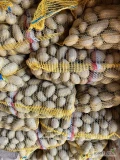Sprzedam ziemniaki jadalne odmiany queen Anne corina Soraya worki 15kg