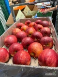 upię jabłko, , Gala Pasek, Princ Select, Red Cap, Jeronimo, Golden , Gala Red,