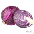 Kupię kapustę czerwoną, kaliber do 2 kg, opakowanie carton box. Jakość market. Płatność na załadunku