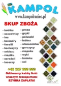 Kupię: JĘCZMIEŃ paszowy i konsumpcyjny. Każda ilość, najlepiej całosamochodowe, z dostawą do 97-438 Rusiec lub szybki odbiór na...