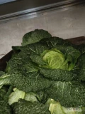 Sprzedam paletę 180 sztuk grubej kapusty włoskiej