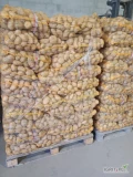 Sprzedam ziemniaki jak na zdjęciu z jasnej ziemi  mniejsze i większe ilości zainteresowane osoby zapraszam do kontaktu 