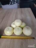 Witam sprzedam grubą ręcznie obierania cebulę w kalibrze od 7 do 11 cm dostępne około 2 tony tygodniowo zapraszam do kontaktu 