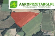 Licytacja na sprzedaż 39,22 ha gruntu rolnego – RIVb, RIIIb, N, RIVa, RV
