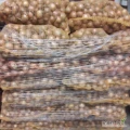 Sprzedam cebulę w workach po 15 kg kaliber od 45 do 90 mm. Możliwość transportu na paletach cena 1.50 zl/kg tel 723609710