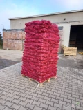 Sprzedam cebulę czerwona kaliber 5+. Ładny gruby towar pakowany w worek lenko 5 kg. Ilości paletowe