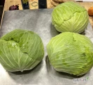 Sprzedam kapustę płaską marketową ilości tirowe, tonowe odmiana Green Lunar 