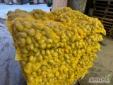 Sprzedam ziemniaki odmiany Soraya w kalibrze +45 pakowane worek szyty 15kg na paletach 