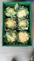 Kalafior 6 szt 