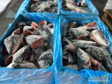 Mrożone głowy łososia; Jakość spożywcza; Nieograniczone ilości; Rozmiar 350-400 g +;