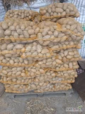 Ziemniaki odmiany Queen Anne kalibraż 45+. Pakowane w worek lub big-bag. 